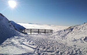 5e1b82c0cd15a_IMG202001114.jpg